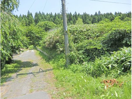 字松ノ木平（野辺地駅） 2100万円 前面西側道路は国道4号線（幅員未測量）／2017年7月撮影