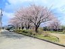 鵜飼向新田 1750万円 4工区公園（83号公園）まで10m 道路向の公園。春には綺麗な桜が咲き誇ります。
