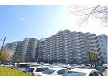 コスモ志木 「志木」駅徒歩約9分，生活施設が身近に点在するライフエリア。総戸数248戸の大型分譲マンションです。