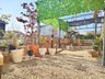 目白台３（武州唐沢駅） 2680万円 ■南向きの広々としたお庭はガーデニングにおすすめ！ たっぷりの陽光で植物がすくすく育ちます！
