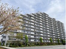 コスモ志木 1986年7月築，総戸数248戸の大型分譲マンションです。