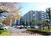 コスモ志木 総戸数248戸の大型分譲マンションです。
