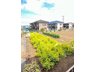 大沼町４（小平駅） 2080万円 現地からの眺望（2024年3月）撮影 東側、生産緑地で開放感が御座います
