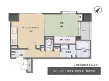 リバーシティ日東Ⅱ 1DK、価格840万円、専有面積46.42㎡、バルコニー面積4.19㎡間取図