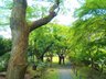 八瀬鱒乃坊アーバンコンフォート 現地（2021年）撮影：敷地内の遊歩道