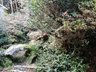 千代川町川関宮ノ前（千代川駅） 2380万円 整備すれば石燈籠のある枯山水の日本庭園