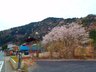 八瀬秋元町（八瀬比叡山口駅） 1500万円 現地から山桜を望む（2021年4月）撮影