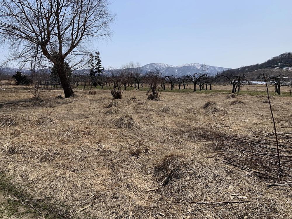 美園町（余市駅） 120万円