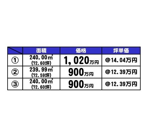 新光３ 1020万円