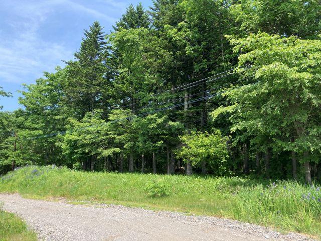 岩内町西1線(帯広駅) 180万円