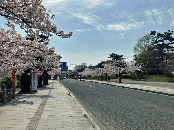 スマートハイムプレイス鶴岡市双葉町