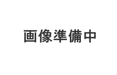 大槻町字針生前田 1510万円