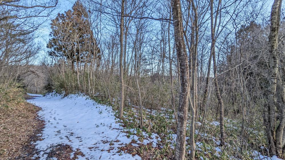 滝沢字矢ノ目沢(真滝駅) 150万円