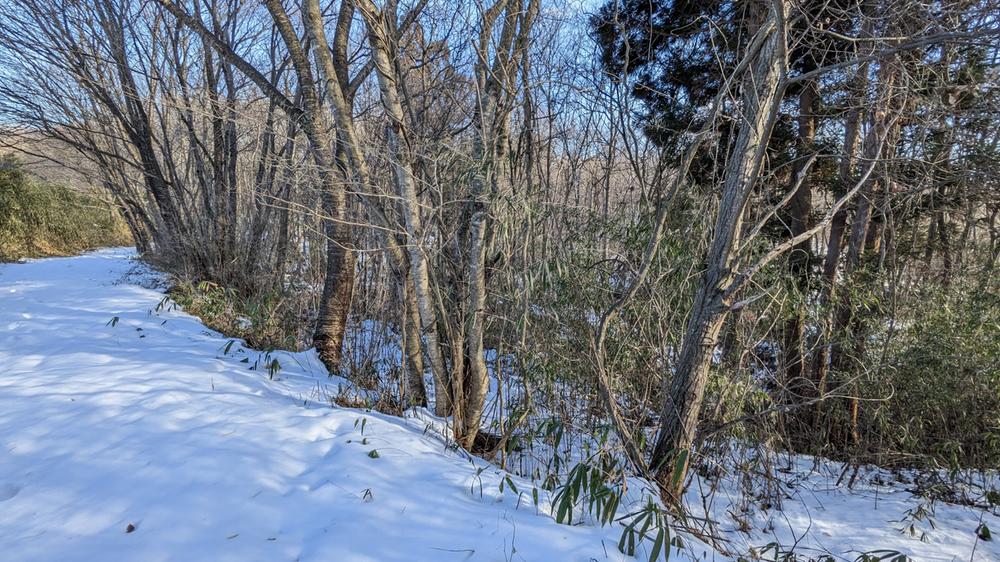 滝沢字矢ノ目沢(真滝駅) 150万円