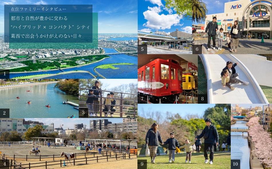 ヴェリテージ葛西の杜の取材レポート画像