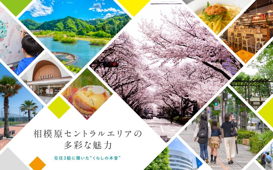 メイツ相模原の取材レポート画像