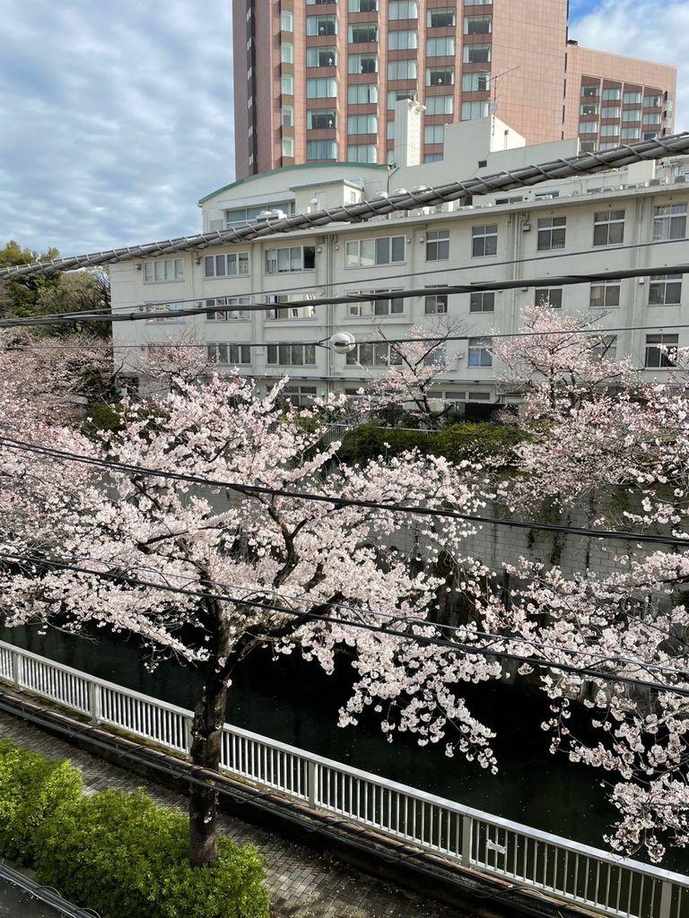 SUUMO】早稲田駅(東京都)の中古住宅・中古一戸建て購入情報