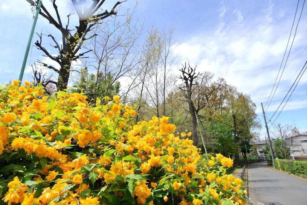 三鷹市北野1丁目 建築条件付き売地 全3区画 土地建物総額6780万円~【弊社限定公開】