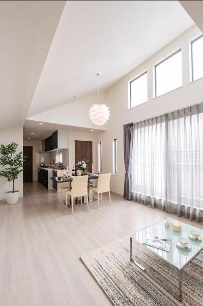 まみちゃん／廃墟建築家／4321 2冊セット 36M HOUSE | 小川晋一都市建築設計事務所