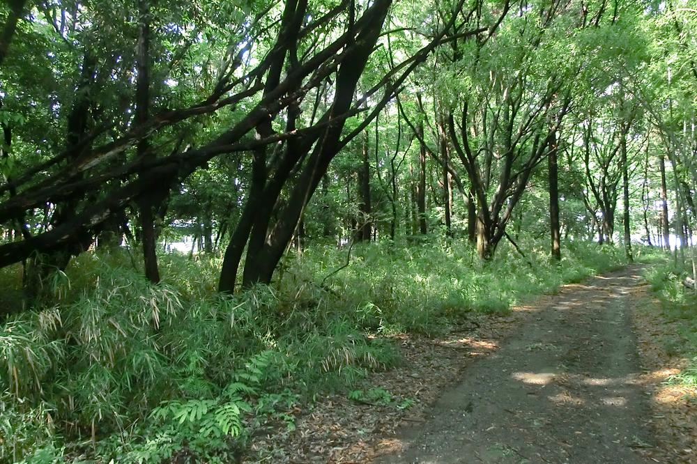 猪子町 1500万円