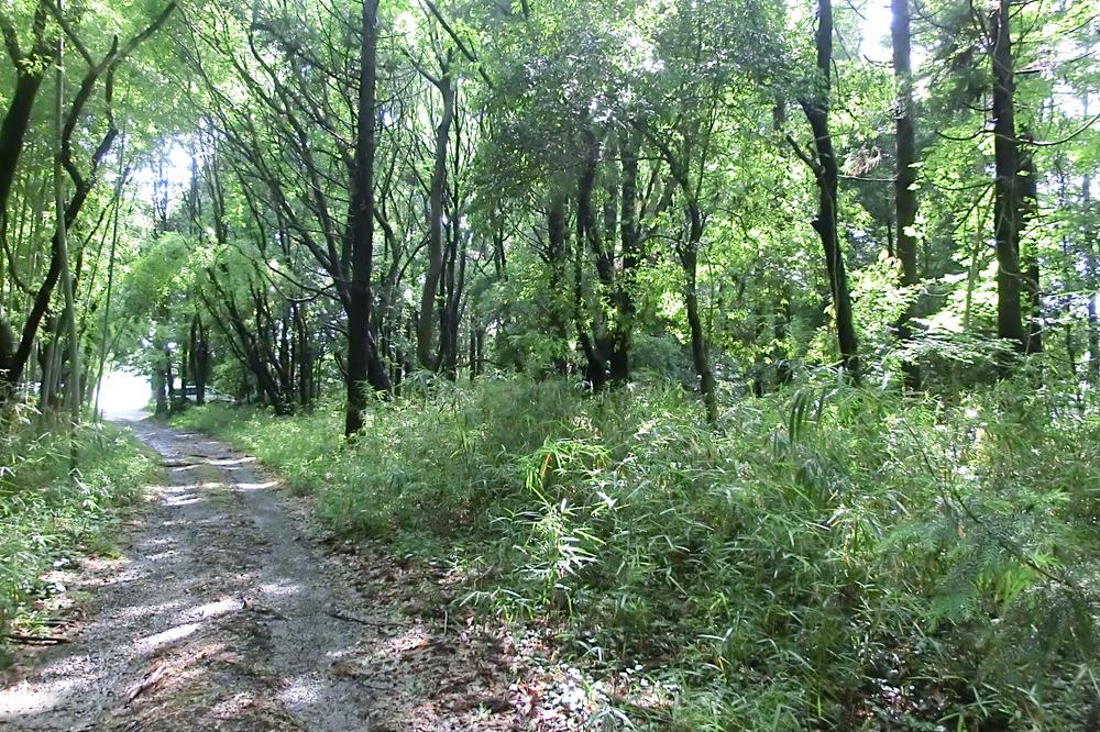 猪子町 1500万円