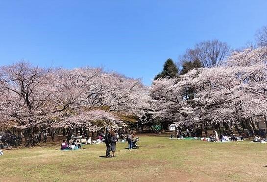 日本の四季を彩る「石神井公園×光が丘」エリアで、こだわりのマイホームを建てる。