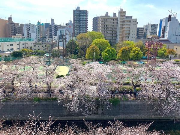 イニシアイオ目黒