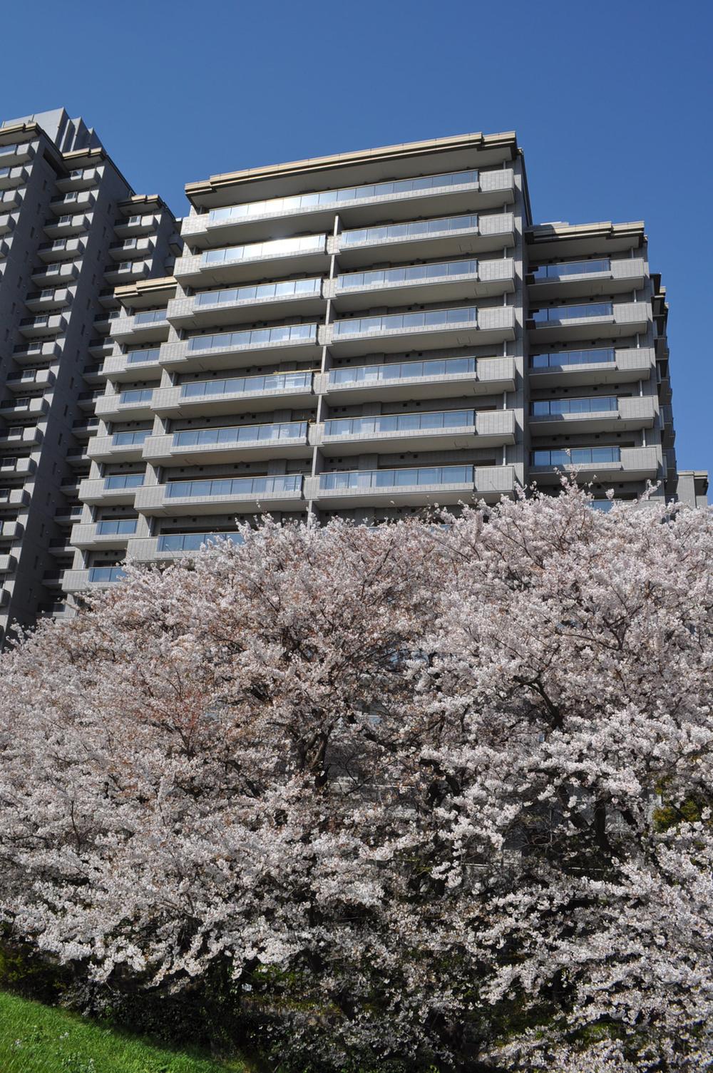 パークハウス多摩川南弐番館