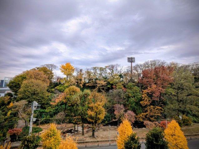 住戸からの眺望写真
