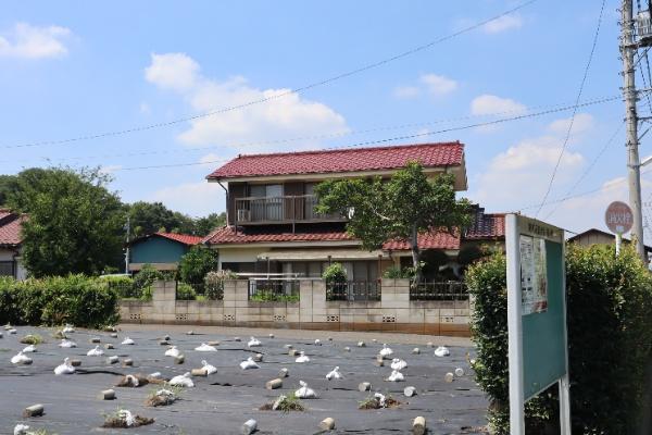 北野２（小手指駅） 3480万円