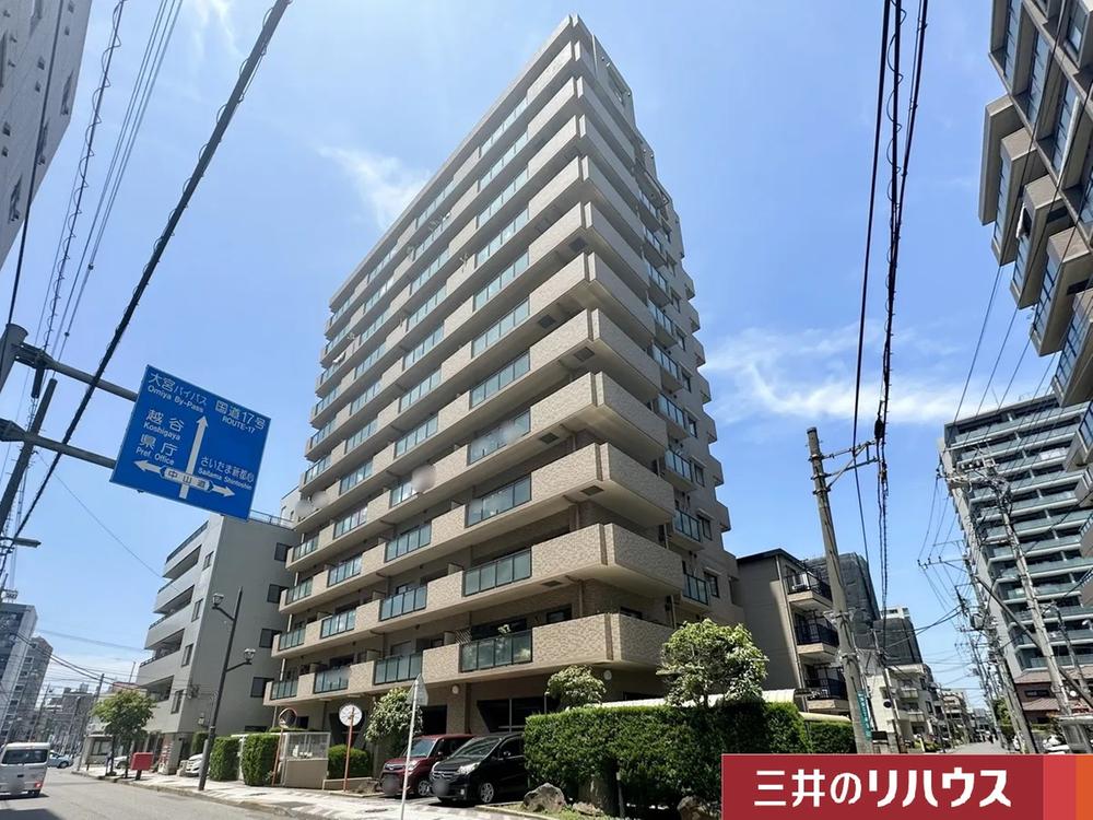 さいたま アメジスト（大衛） アメジストクリンリーフRピンクワイド×12本