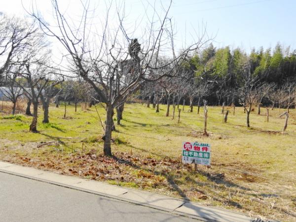 神立町（土浦駅） 3100万円