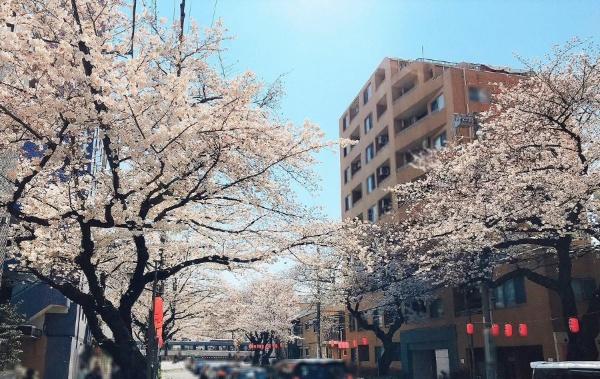 ネオマイム哲学堂公園