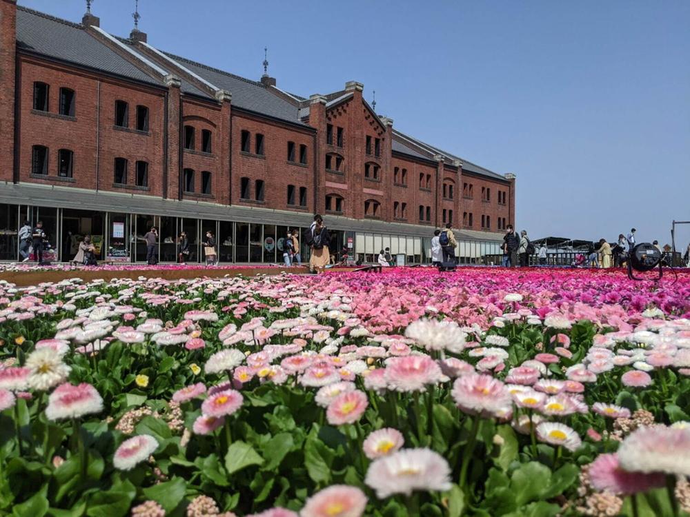 久保町（西横浜駅） 3580万円・3880万円