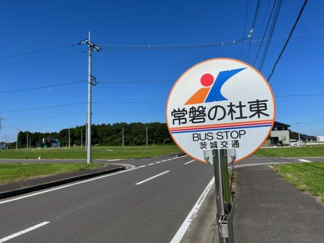 人気 元 石川 町 バス