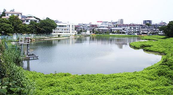 上池台４（長原駅） 8290万円