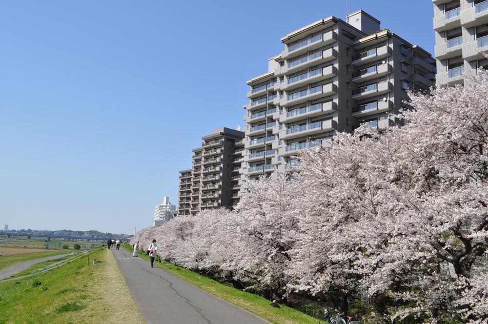 パークハウス多摩川北弐i番館