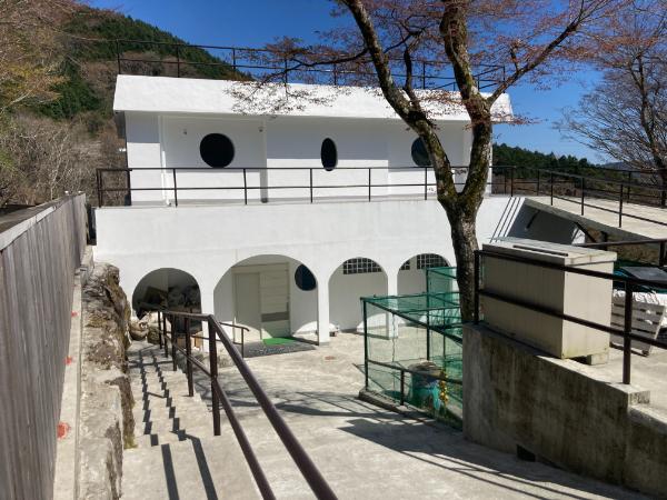 仙石原 3億円