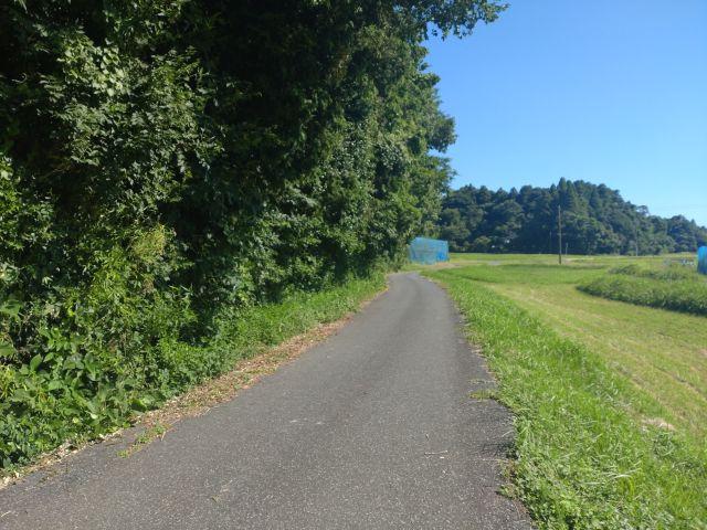 岬町谷上 130万円