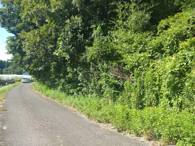 岬町谷上 130万円