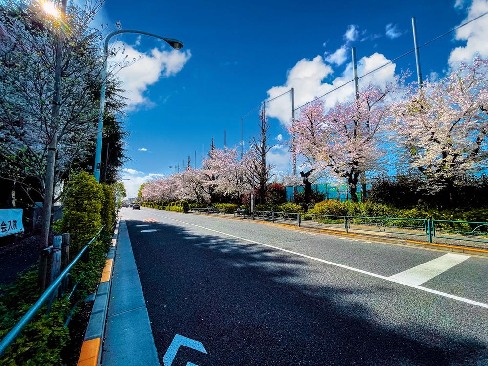 【東京テラス】 -桜咲く東京の庭-