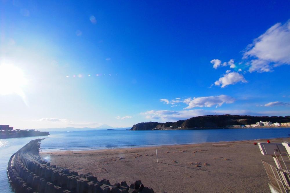 Seasid Interriors 海辺で暮らす 海辺の風景新品、
