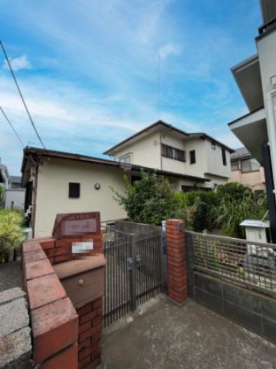 フィカス・アルテシマ B 約140cm 神奈川県辻堂、茅ケ崎、平塚にて