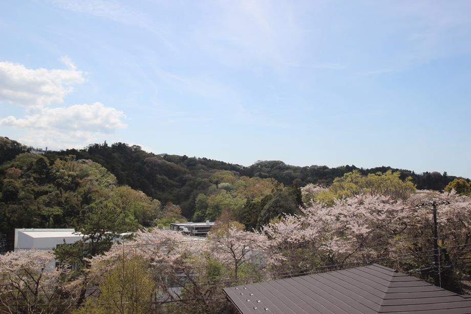 梶原３（湘南町屋駅） 5480万円