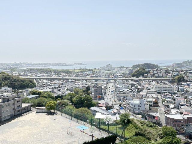 【海・富士山を遠望】ネアポリス湘南１３階
