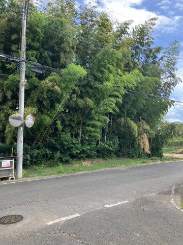 大柏（守谷駅） 1200万円