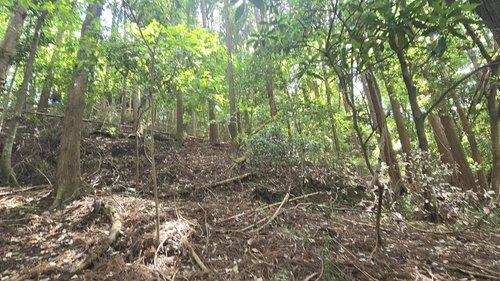 相川(上総湊駅) 559万円