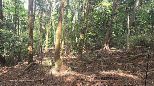 相川(上総湊駅) 559万円