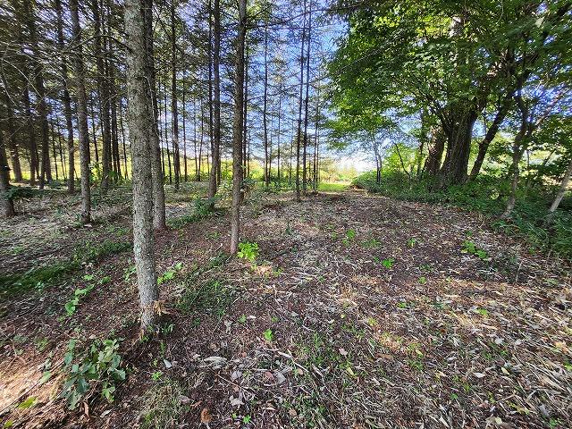 富士見 2000万円