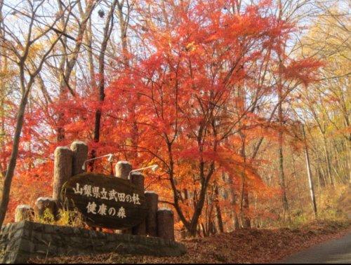 detached 山梨県甲府市羽黒町